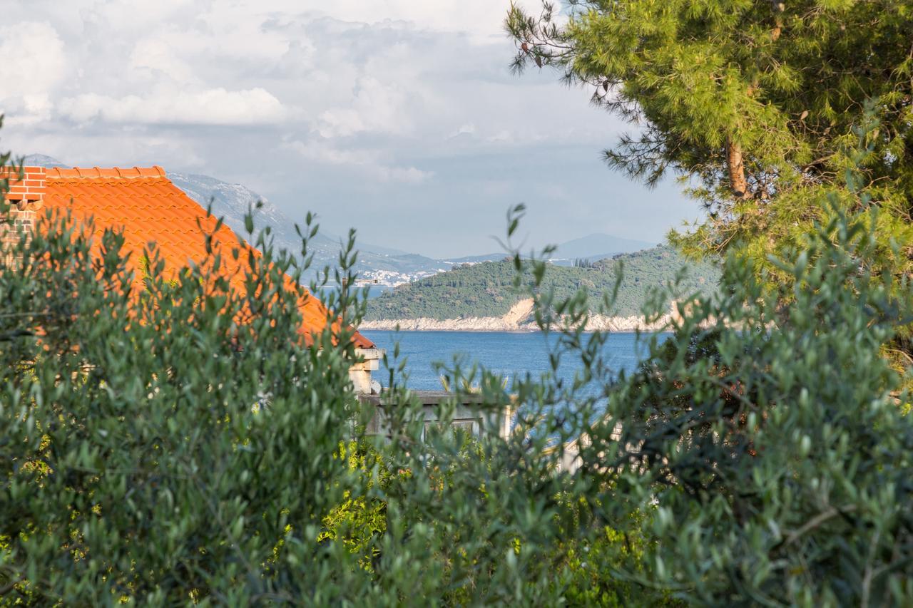 Franica * Dubrovnik
