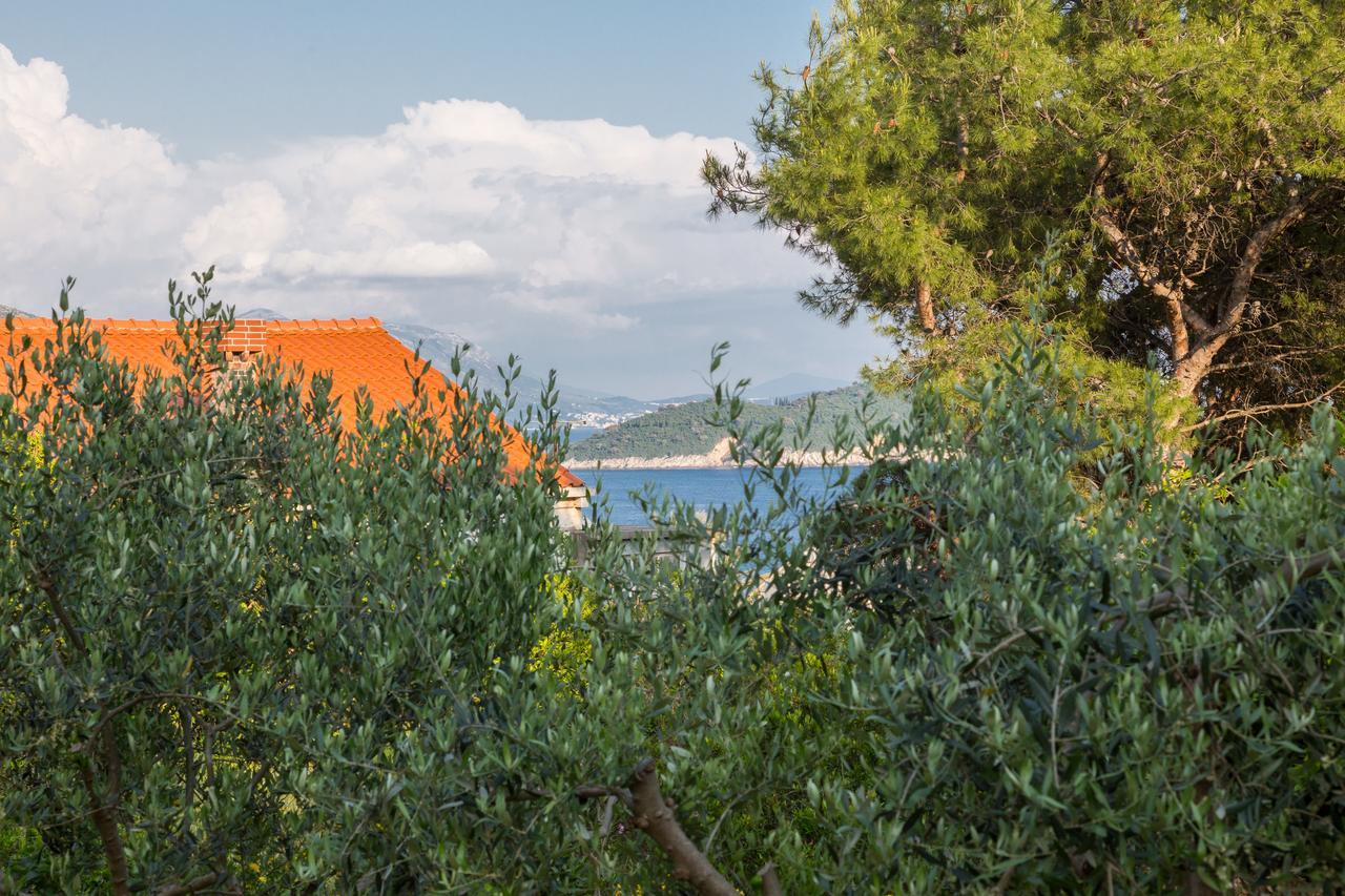 Franica * Dubrovnik